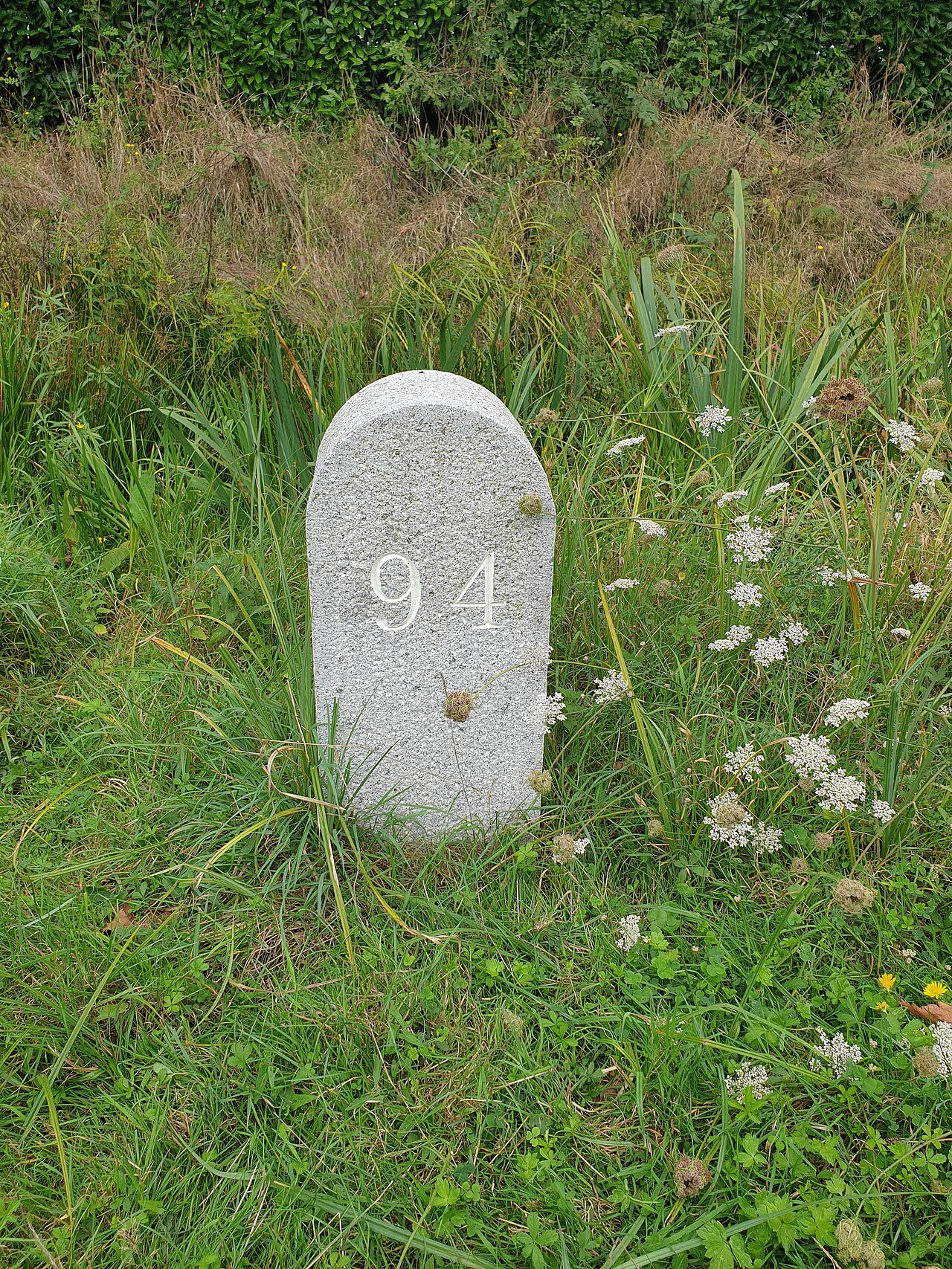 AN-94 — Assault Rifle featured in Gun Guesser