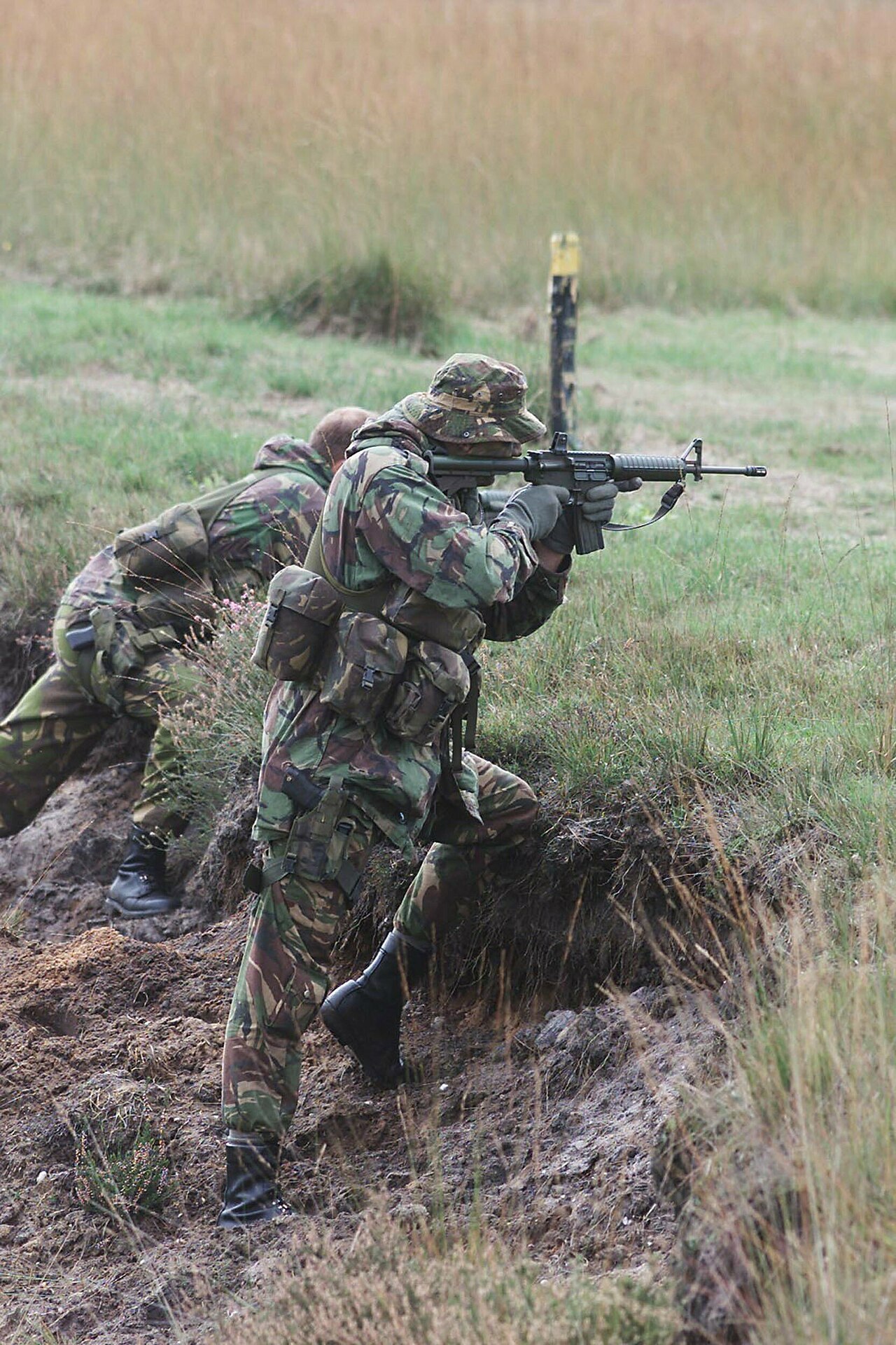 Colt Canada C8 — Assault Rifle