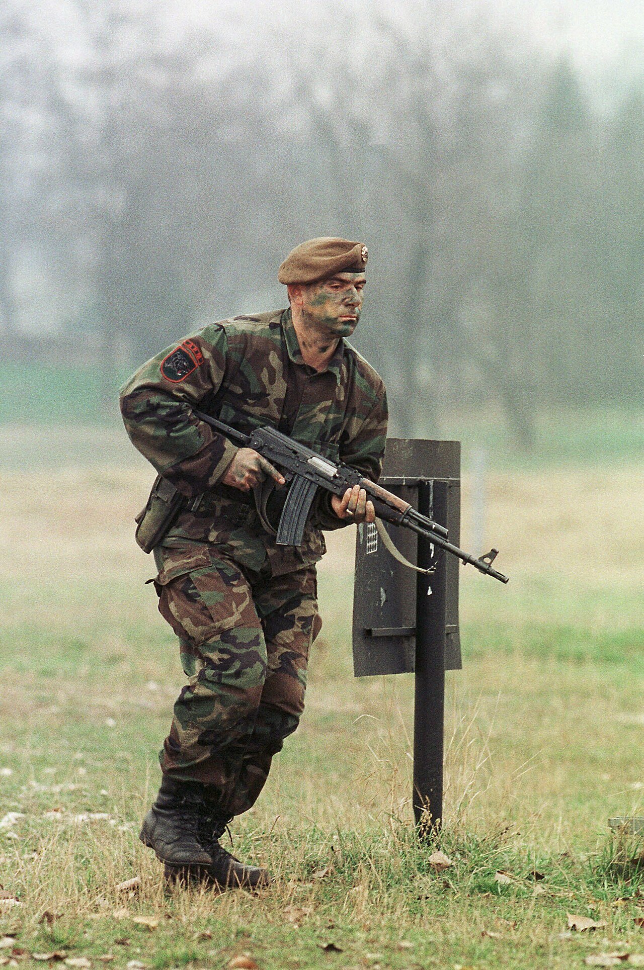 Zastava M90 — Assault Rifle featured in Gun Guesser